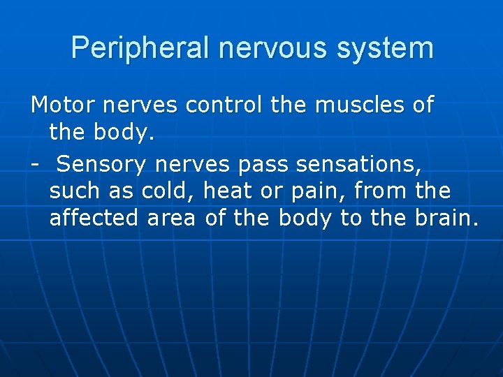 Peripheral nervous system Motor nerves control the muscles of the body. - Sensory nerves