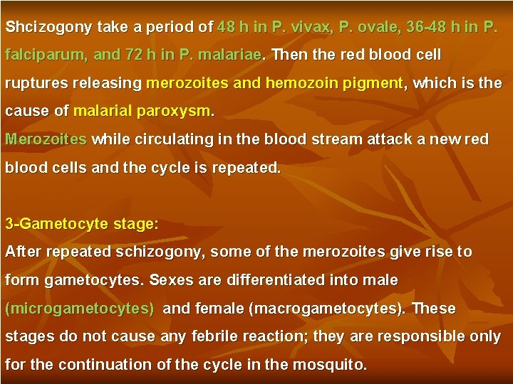 Shcizogony take a period of 48 h in P. vivax, P. ovale, 36 -48