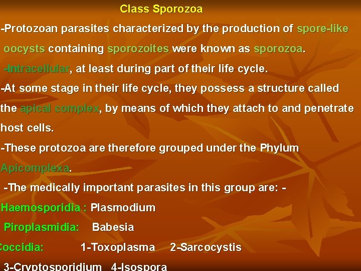 Class Sporozoa -Protozoan parasites characterized by the production of spore-like oocysts containing sporozoites