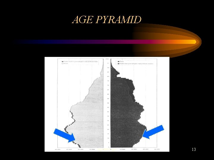 AGE PYRAMID agedent. ppt 13 