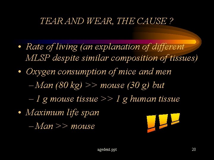 TEAR AND WEAR, THE CAUSE ? • Rate of living (an explanation of different