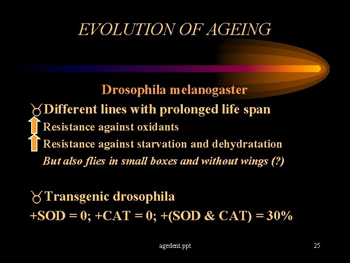 EVOLUTION OF AGEING Drosophila melanogaster _Different lines with prolonged life span Resistance against oxidants