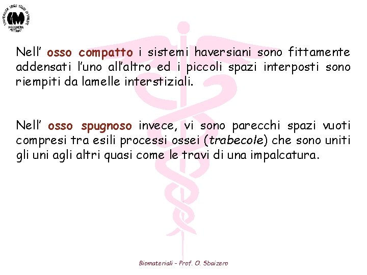 Nell’ osso compatto i sistemi haversiani sono fittamente addensati l’uno all’altro ed i piccoli