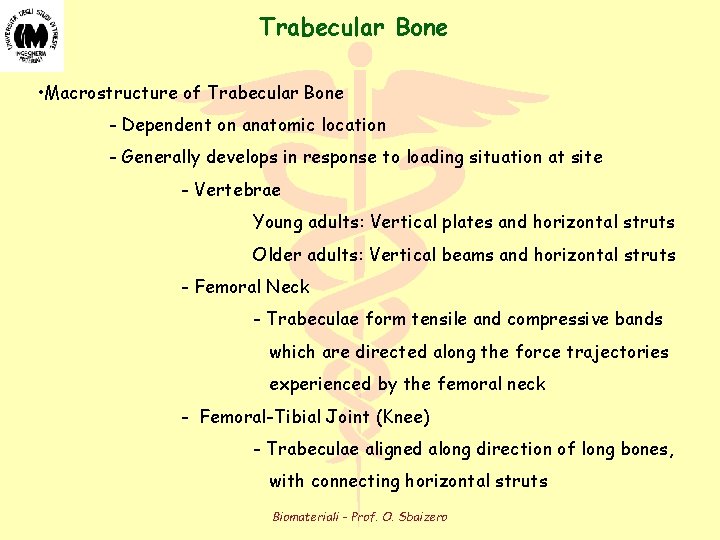 Trabecular Bone • Macrostructure of Trabecular Bone - Dependent on anatomic location - Generally Trabecular Bone • Macrostructure of Trabecular Bone - Dependent on anatomic location - Generally