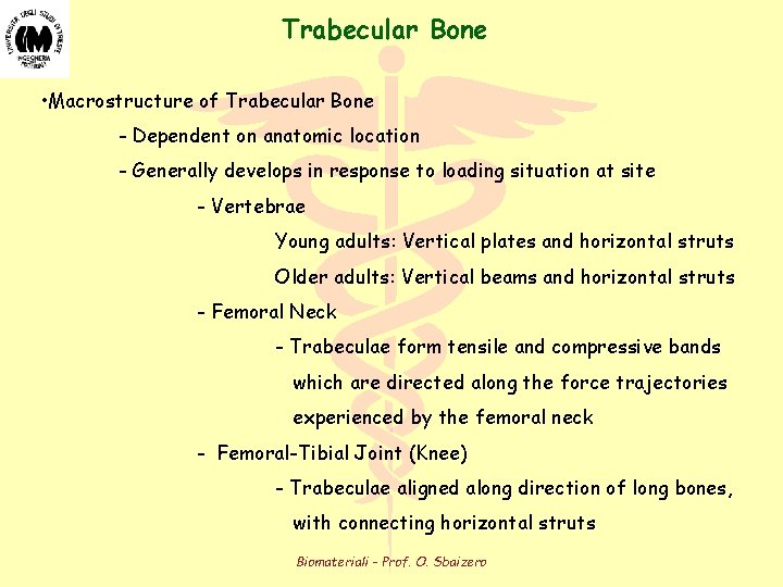 Trabecular Bone • Macrostructure of Trabecular Bone - Dependent on anatomic location - Generally