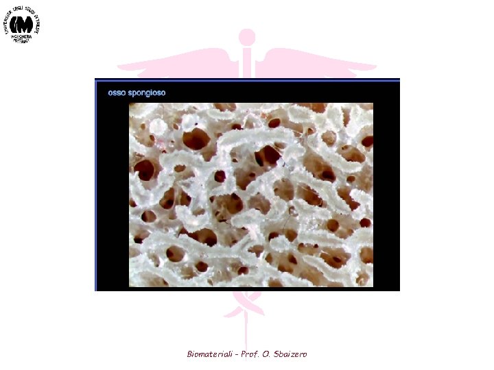 Biomateriali - Prof. O. Sbaizero Biomateriali - Prof. O. Sbaizero