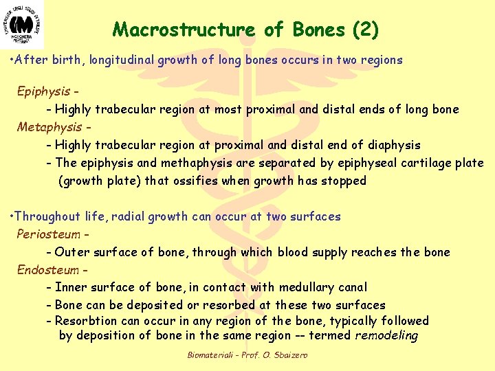 Macrostructure of Bones (2) • After birth, longitudinal growth of long bones occurs in