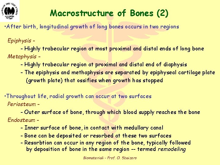 Macrostructure of Bones (2) • After birth, longitudinal growth of long bones occurs in Macrostructure of Bones (2) • After birth, longitudinal growth of long bones occurs in