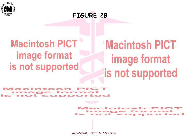 FIGURE 2 B Biomateriali - Prof. O. Sbaizero 