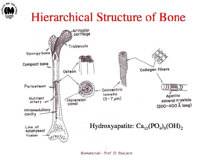 Biomateriali - Prof. O. Sbaizero Biomateriali - Prof. O. Sbaizero