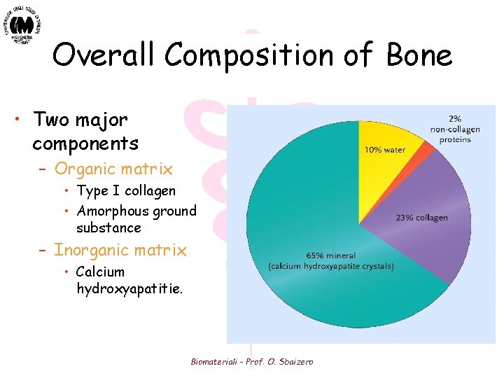 Overall Composition of Bone • Two major components – Organic matrix • Type I