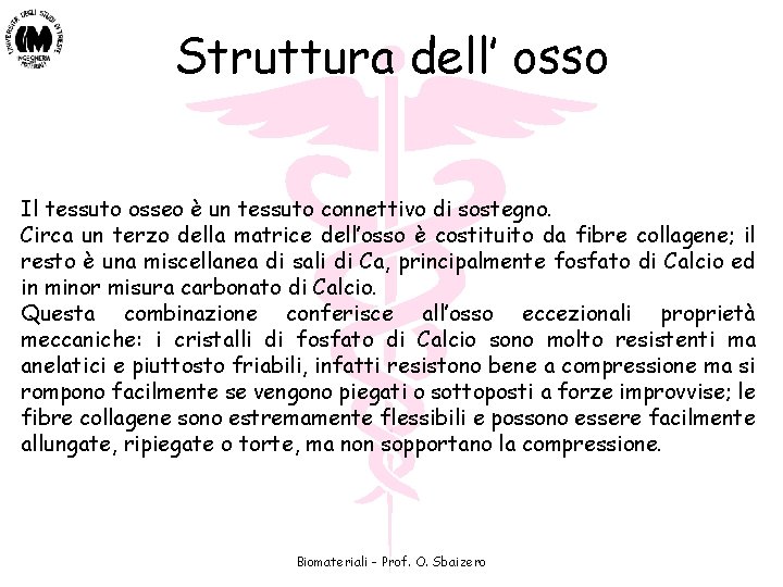 Struttura dell’ osso Il tessuto osseo è un tessuto connettivo di sostegno. Circa un