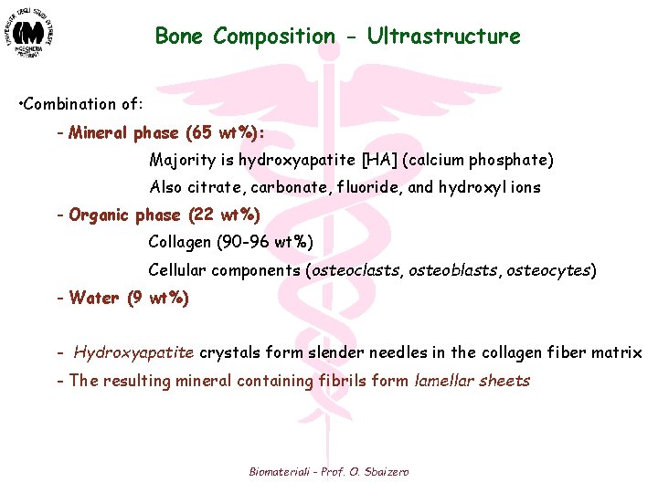 Bone Composition - Ultrastructure • Combination of: - Mineral phase (65 wt%): Majority is