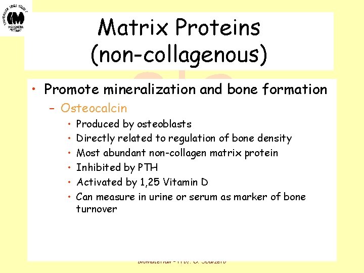 Matrix Proteins (non-collagenous) • Promote mineralization and bone formation – Osteocalcin • • • Matrix Proteins (non-collagenous) • Promote mineralization and bone formation – Osteocalcin • • •