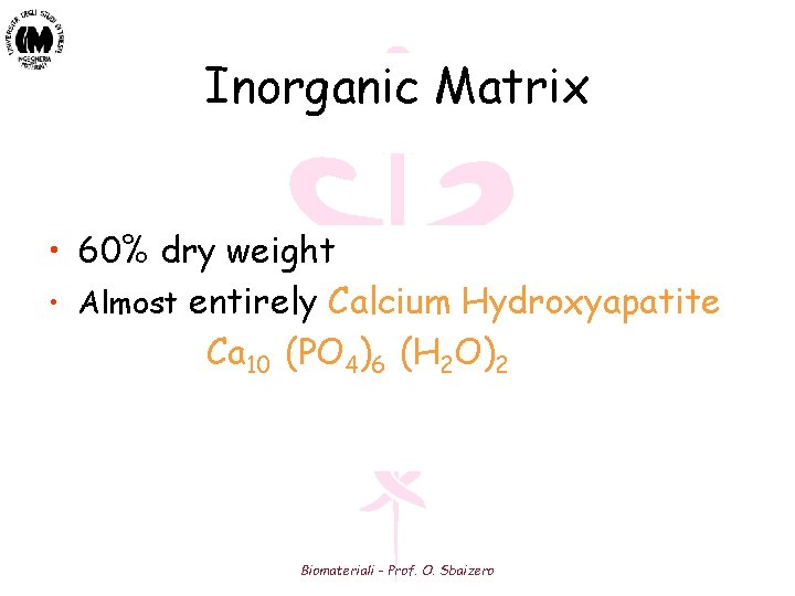 Inorganic Matrix • 60% dry weight • Almost entirely Calcium Hydroxyapatite Ca 10 (PO