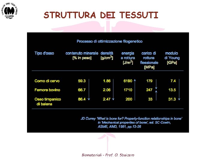 STRUTTURA DEI TESSUTI Biomateriali - Prof. O. Sbaizero 