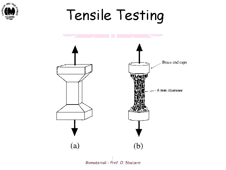 Tensile Testing Biomateriali - Prof. O. Sbaizero Tensile Testing Biomateriali - Prof. O. Sbaizero