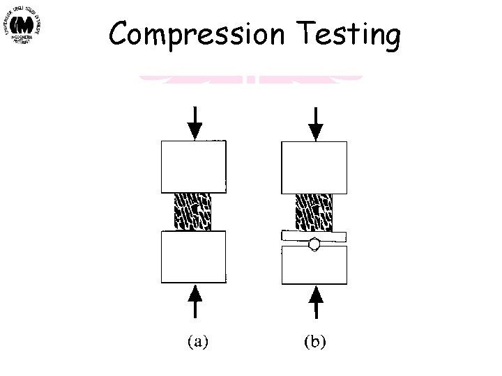 Compression Testing Biomateriali - Prof. O. Sbaizero 