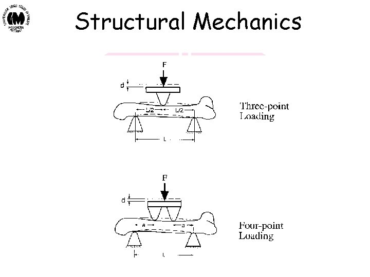 Structural Mechanics Biomateriali - Prof. O. Sbaizero Structural Mechanics Biomateriali - Prof. O. Sbaizero
