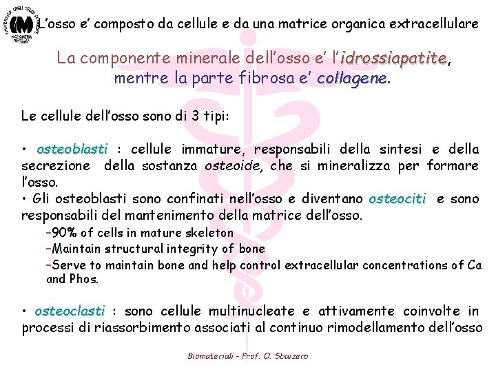 L’osso e’ composto da cellule e da una matrice organica extracellulare La componente minerale