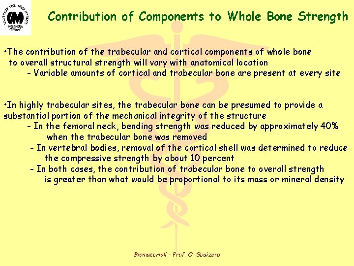 Contribution of Components to Whole Bone Strength • The contribution of the trabecular and