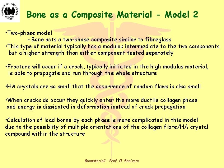 Bone as a Composite Material - Model 2 • Two-phase model - Bone acts