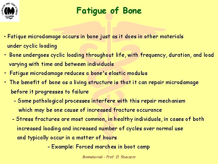 Fatigue of Bone • Fatique microdamage occurs in bone just as it does in