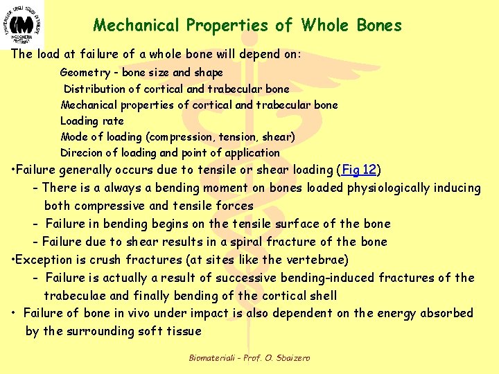 Mechanical Properties of Whole Bones The load at failure of a whole bone will