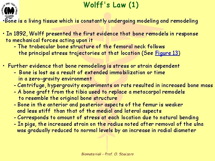 Wolff's Law (1) • Bone is a living tissue which is constantly undergoing modeling Wolff's Law (1) • Bone is a living tissue which is constantly undergoing modeling