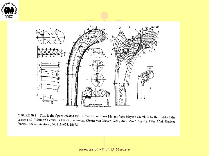 Biomateriali - Prof. O. Sbaizero 