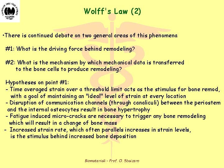 Wolff's Law (2) • There is continued debate on two general areas of this Wolff's Law (2) • There is continued debate on two general areas of this