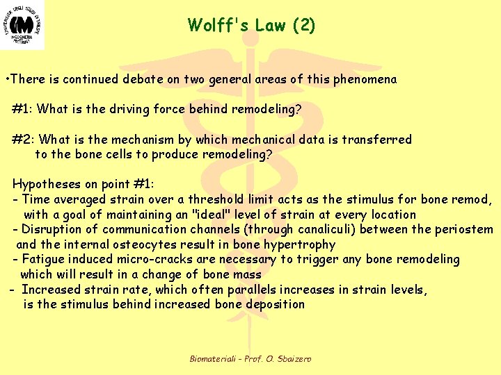 Wolff's Law (2) • There is continued debate on two general areas of this