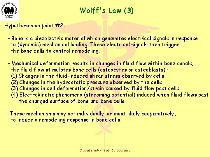 Wolff's Law (3) Hypotheses on point #2: - Bone is a piezolectric material which Wolff's Law (3) Hypotheses on point #2: - Bone is a piezolectric material which