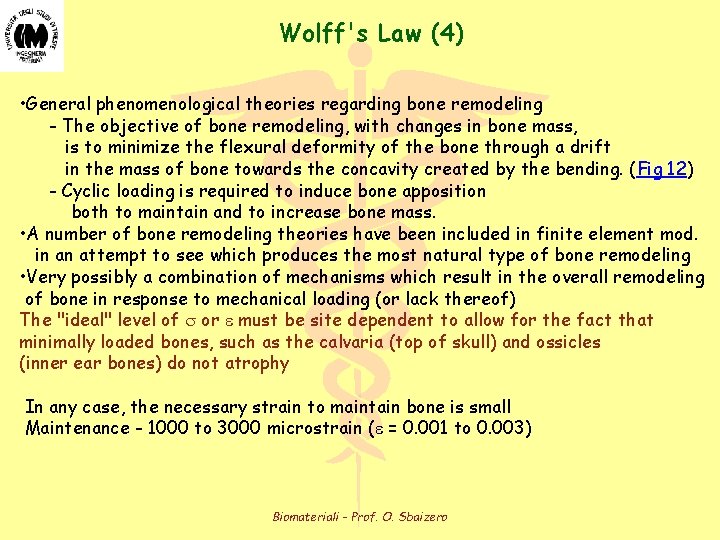 Wolff's Law (4) • General phenomenological theories regarding bone remodeling - The objective of