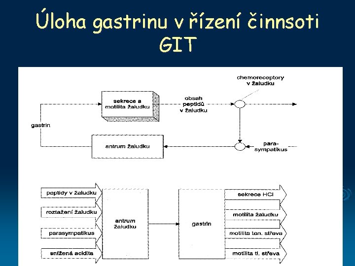 Úloha gastrinu v řízení činnsoti GIT 