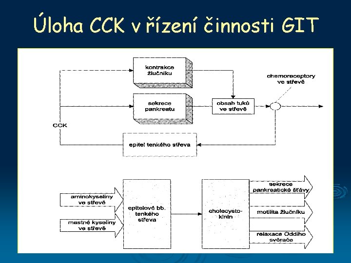 Úloha CCK v řízení činnosti GIT 