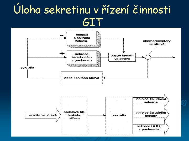 Úloha sekretinu v řízení činnosti GIT 