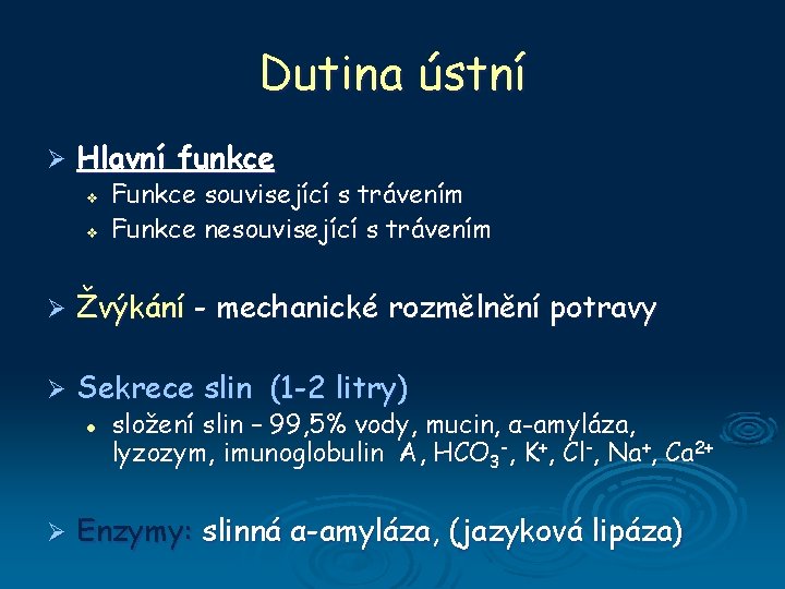 Dutina ústní Ø Hlavní funkce v v Funkce související s trávením Funkce nesouvisející s