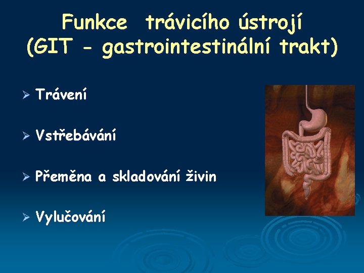 Funkce trávicího ústrojí (GIT - gastrointestinální trakt) Ø Trávení Ø Vstřebávání Ø Přeměna a