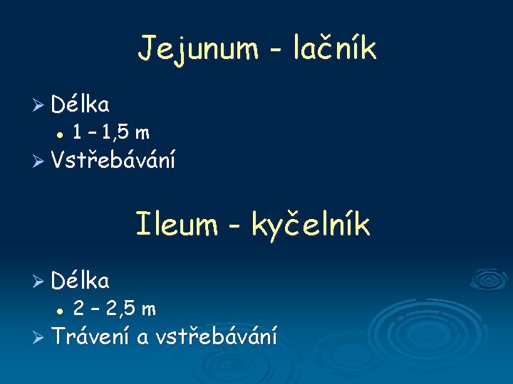 Jejunum - lačník Ø Délka l 1 – 1, 5 m Ø Vstřebávání Ileum