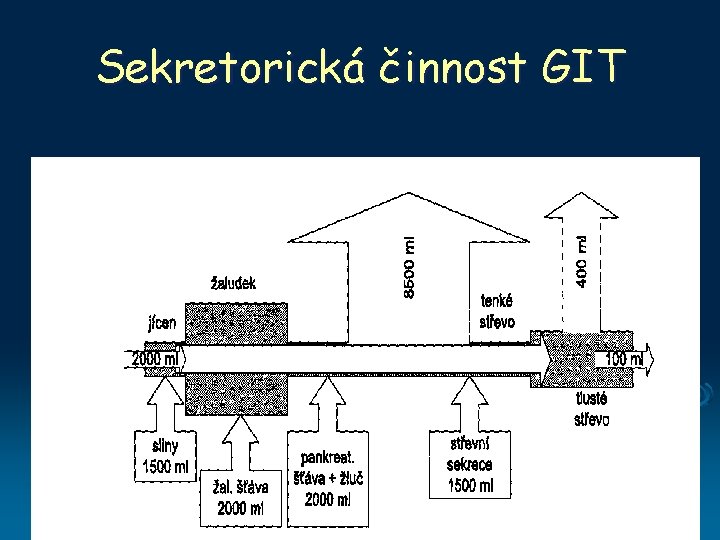 Sekretorická činnost GIT 