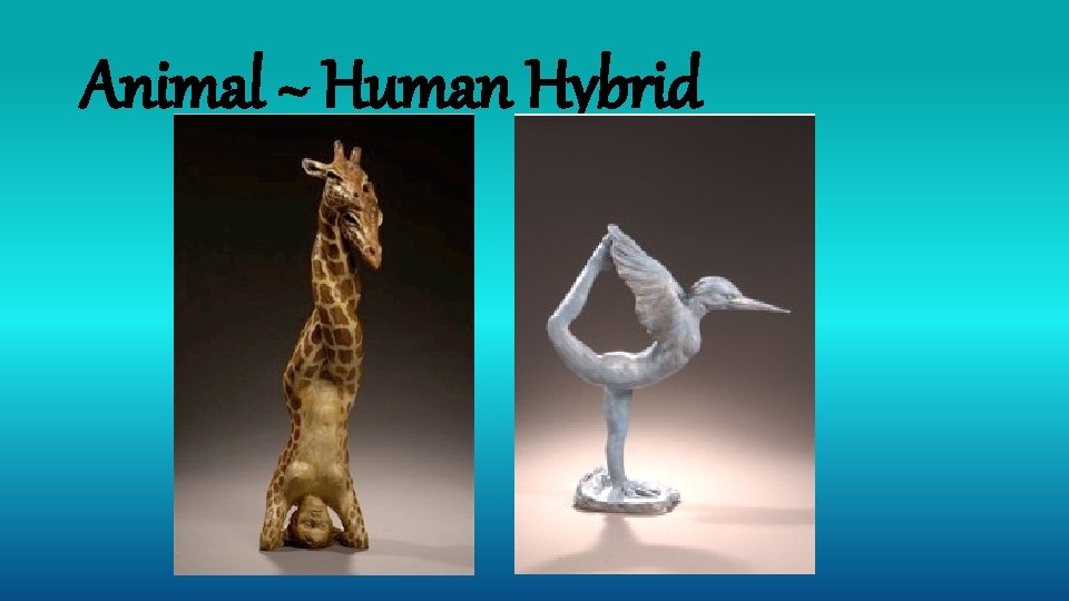 Animal ~ Human Hybrid 