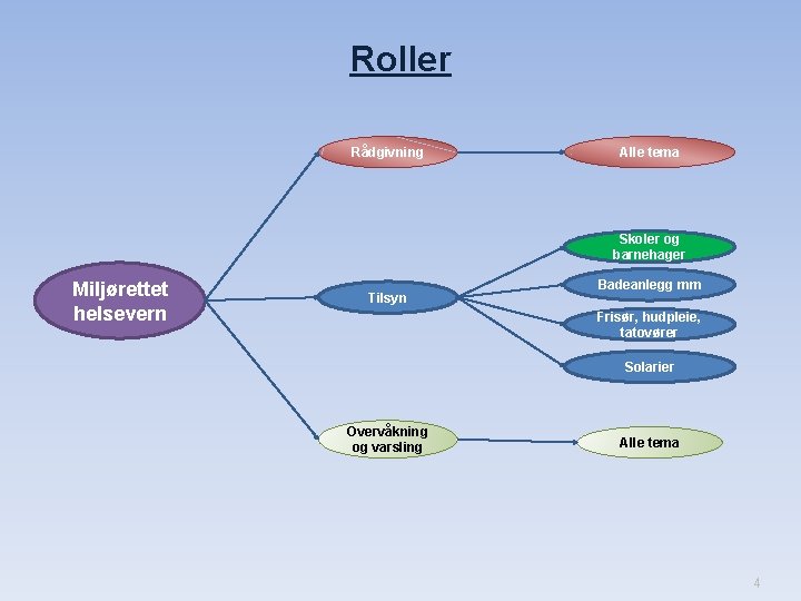 Roller Rådgivning Alle tema Skoler og barnehager Miljørettet helsevern Tilsyn Badeanlegg mm Frisør, hudpleie,