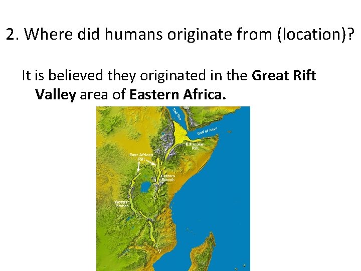 2. Where did humans originate from (location)? It is believed they originated in the