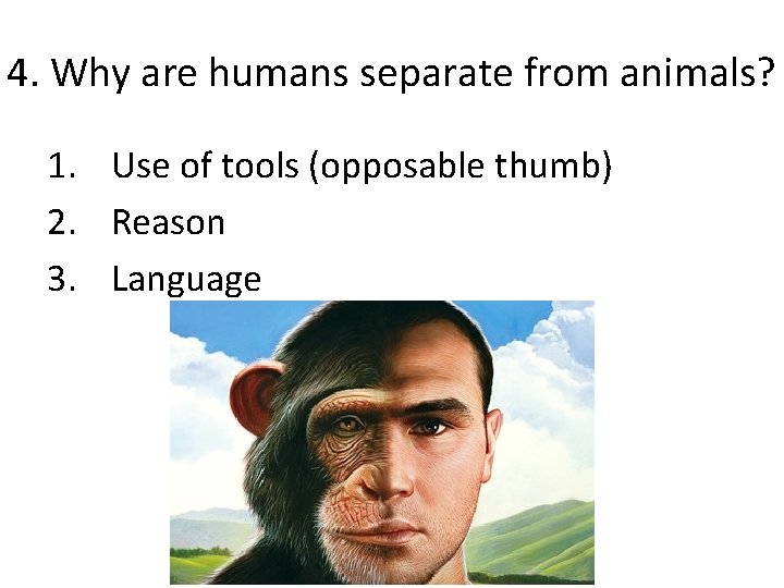 4. Why are humans separate from animals? 1. Use of tools (opposable thumb) 2.
