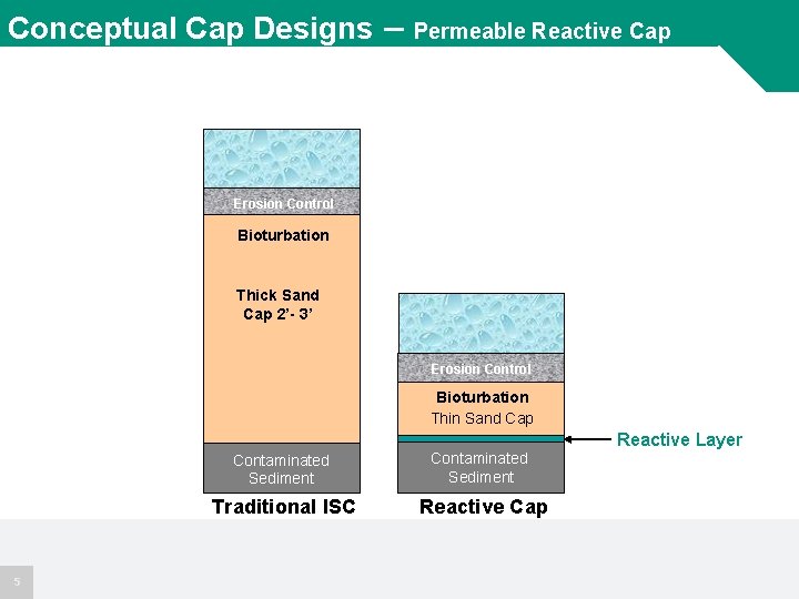 Conceptual Cap Designs – Permeable Reactive Cap Erosion Control Bioturbation Thick Sand Cap 2’-