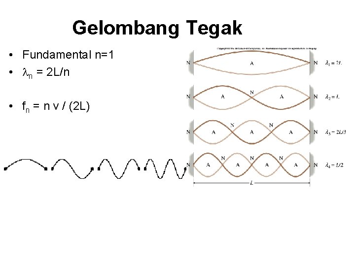 Gelombang Tegak • Fundamental n=1 • n = 2 L/n • fn = n