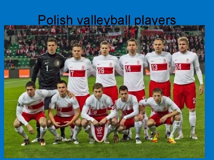 Polish valleyball players 