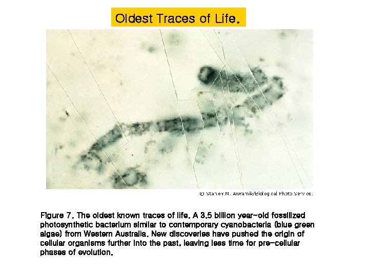 Oldest Traces of Life. Figure 7. The oldest known traces of life. A 3.