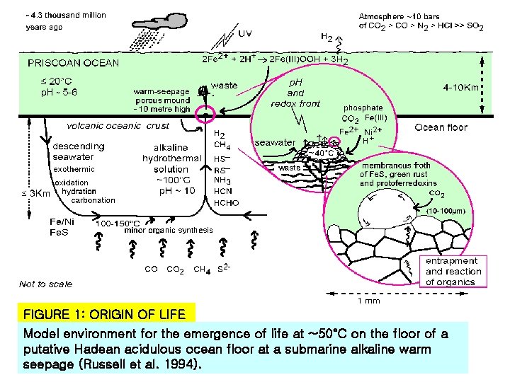 FIGURE 1: ORIGIN OF LIFE Model environment for the emergence of life at ~50°C